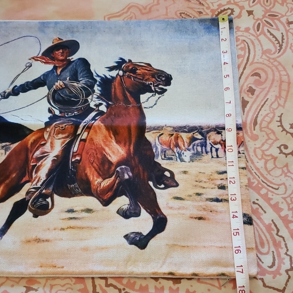 Horse Pillow Case. Western Cowboy Country. Ranch - Picture 12 of 13